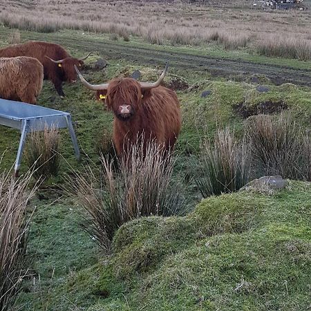 Trotternish B&B Kingsburgh Eksteriør billede